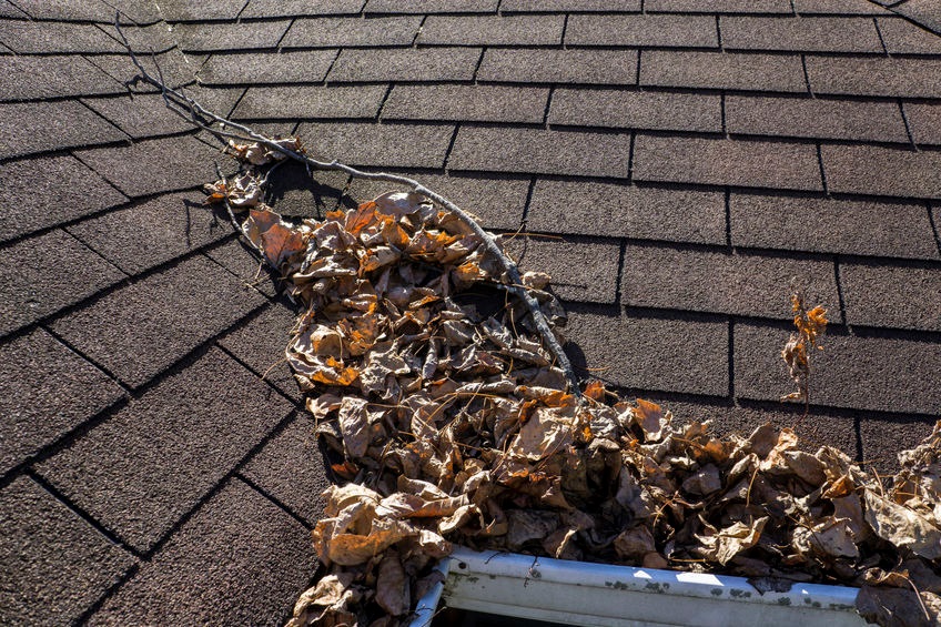 A clogged gutter filled with leaves and debris on a shingle roof, highlighting the need for professional roof maintenance in Southeastern North Carolina.